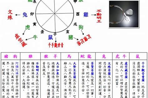 2007年五行属什么|2007年五行属什么？2007年出生是什么命？